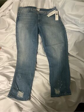 NWT Hudson Midrise Crop Savvy Straight Distressed Paint Splatter Jeans Sz 32